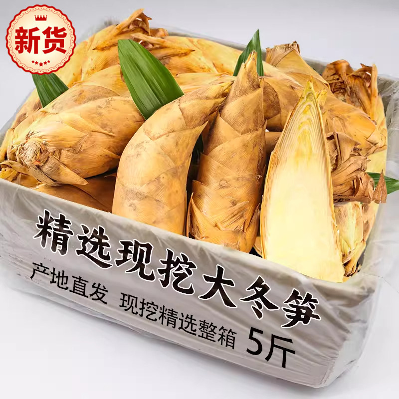 浙江锄头挖新鲜冬笋专用现挖5斤10斤临安春笋江西竹笋清水煮野生
