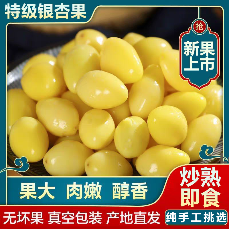 新货优质白果银杏果新鲜