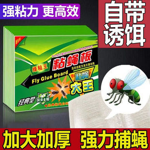 苍蝇贴强力粘苍蝇纸粘蝇板沾蚊蝇杀手捕捉器一扫光家用灭蝇子神器
