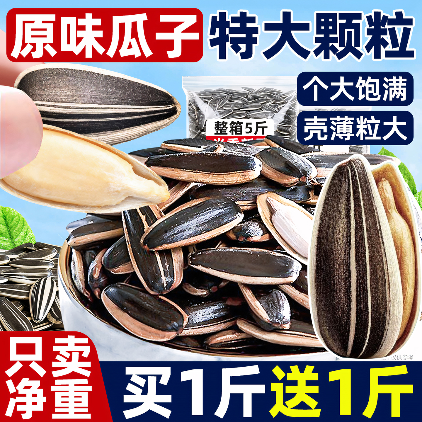 【内蒙生瓜子】2025新货特大颗粒