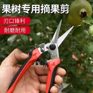 佐川吉782 稀果剪752 762直口手剪修枝剪摘果叶芽剪子花枝园艺剪