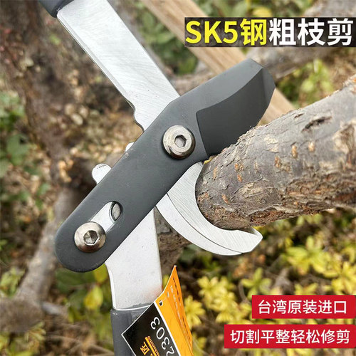 黑铁匠粗枝剪大力剪绿化修枝剪园林剪剪枝剪刀果树大枝剪长柄剪刀