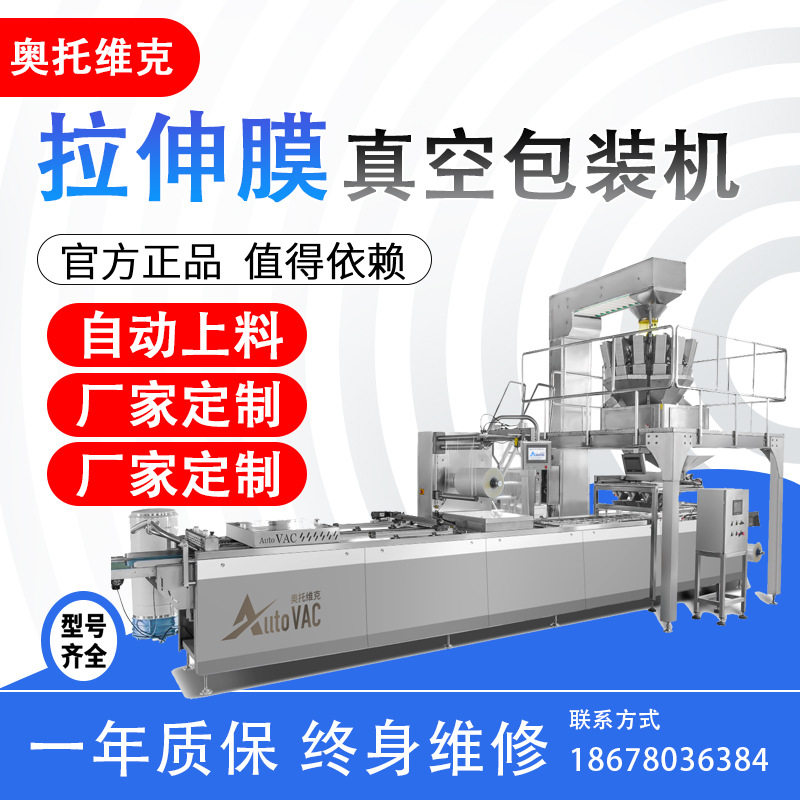 铝箔袋麻辣小干鱼DLZ-520拉伸膜真空包装机 鱿鱼仔封口机