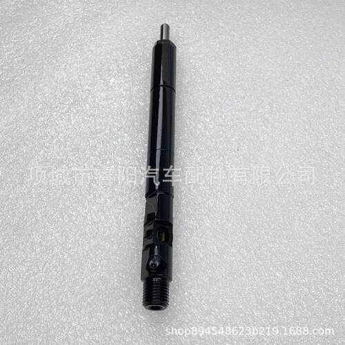 德尔福双龙爱腾柴油喷油器