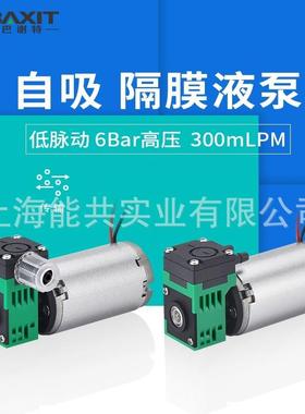 BAXIT微型隔膜液泵12V自吸小型抽水泵24V高压耐腐蚀无油L01DC