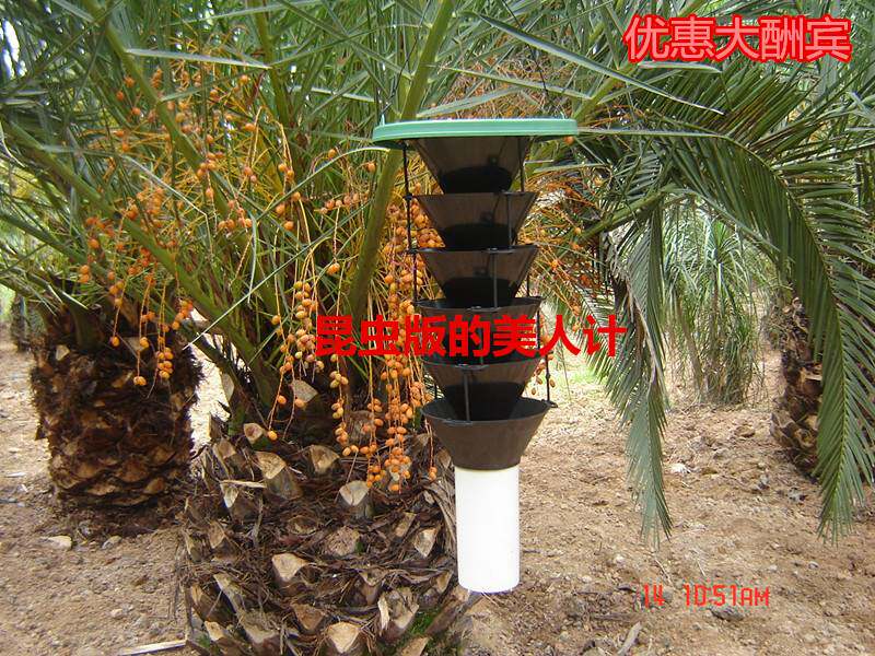 红棕象甲诱捕器性诱剂诱芯园林类害虫生物防治六层漏斗诱捕器