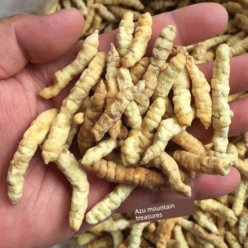 草广西金秀瑶山传统大产滋补品其他农家特种植地蚕SGO土冬虫250g