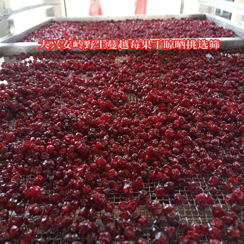 大HBC安岭野生蔓越莓果兴橘干干 野生红豆蔓越 红豆干 干 包邮