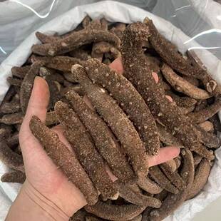 阿拉深斯加红刺参非美国红参进口加海野生淡GTC干拿大海参新鲜即