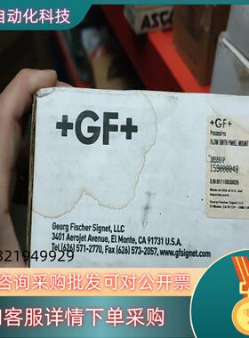 +GF+ 385501P 乔治费歇尔 变送器