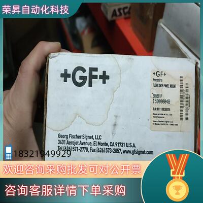 +GF+ 385501P 乔治费歇尔 变送器