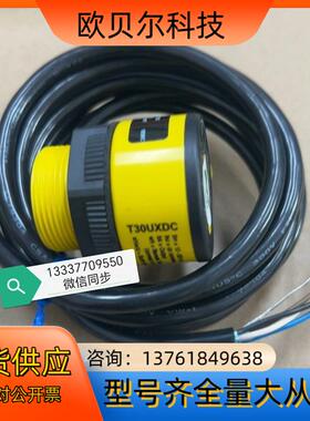 T30UXDC 80458 传感器