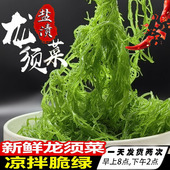 优选新鲜盐渍龙须菜500克无杂质商用海发菜凉拌菜麻辣烫火锅食材