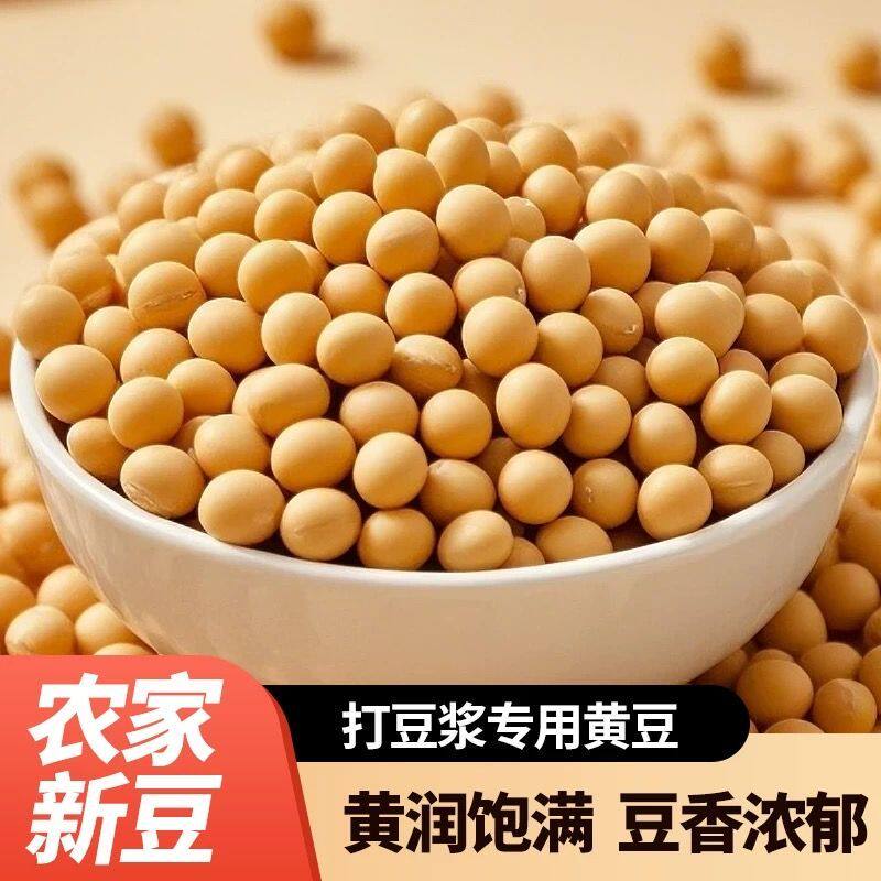 东北黄豆打豆浆专用农家自种黑龙江新大豆五谷杂粮豆类商用批发价
