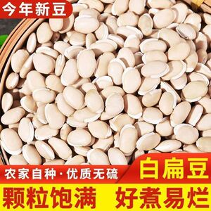 农家新货白扁豆新豆煲粥小扁豆白扁豆五谷杂粮豆类祛湿白扁豆
