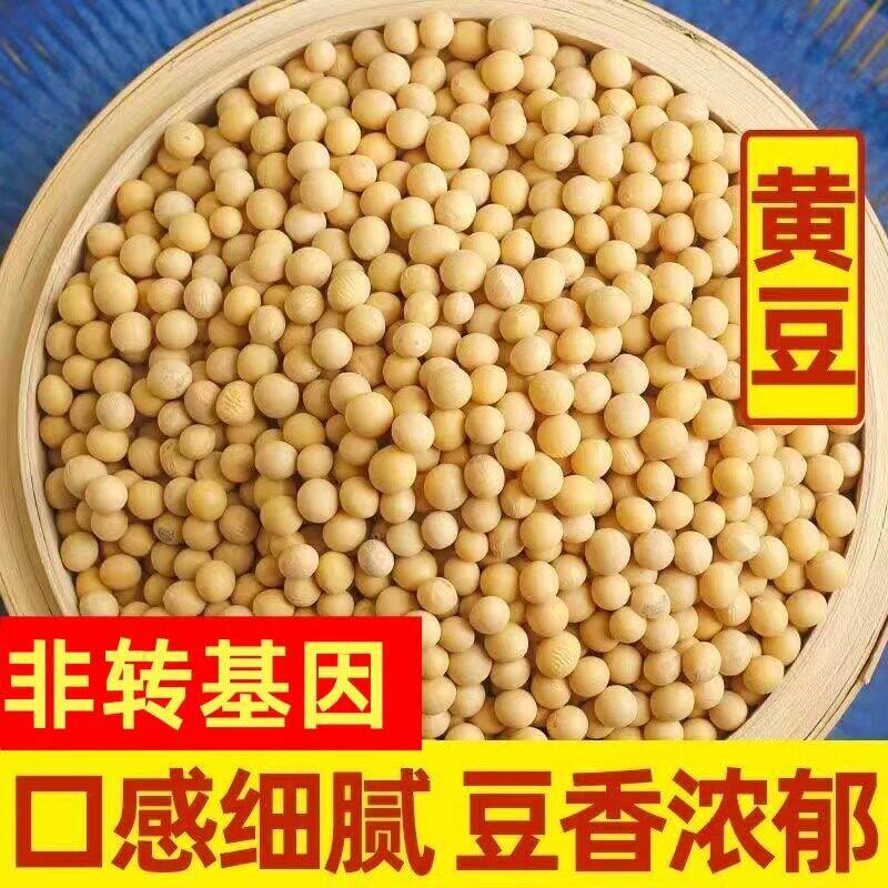 【干净无杂】大颗粒黄豆5斤精品罐装黄豆优质正品黄豆甄选黄豆