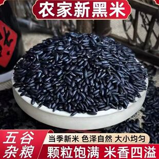 【鲜黑香米】东北延寿黑米五谷杂粮无染色粗粮饭正宗黑米无添加