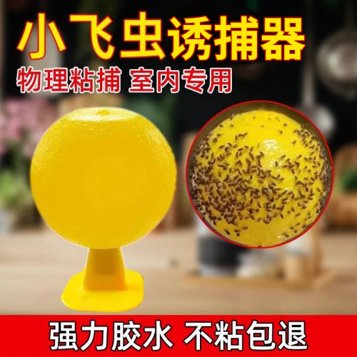 必起果蝇诱捕器小飞蚊虫神器室内