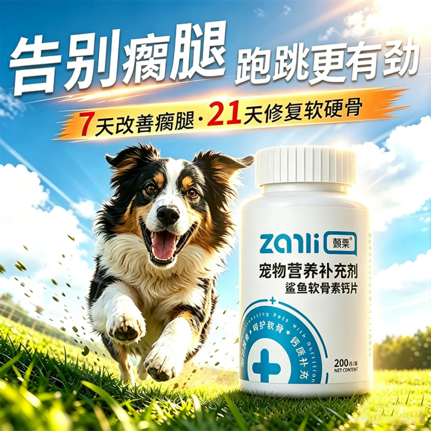 鲨鱼软骨素狗狗专用钙片中大小型犬保护关节健骨髌骨脱位营养品