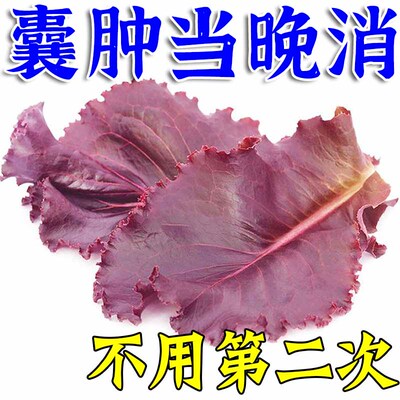 一杯消除】肝囊肿治疗正品的药中调理去除多发性肾肝囊肿古方消茶