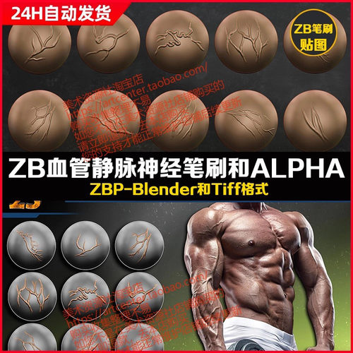 zbrush人物角色血管静脉神经生物怪物雕刻笔刷Alpha经脉青筋笔刷