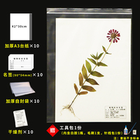 植物標(biāo)本蠟葉標(biāo)本采集制作