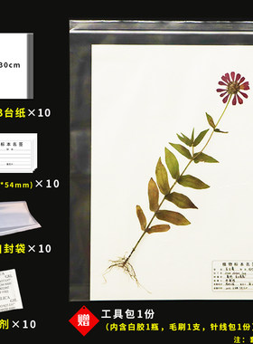 植物标本蜡叶标本采集制作