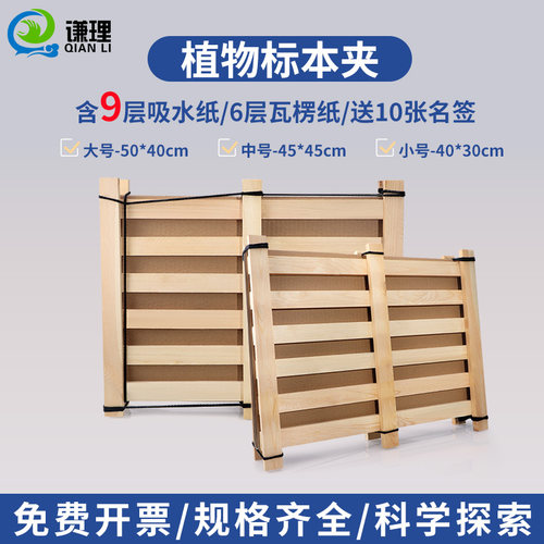 植物松木标本夹制作材料