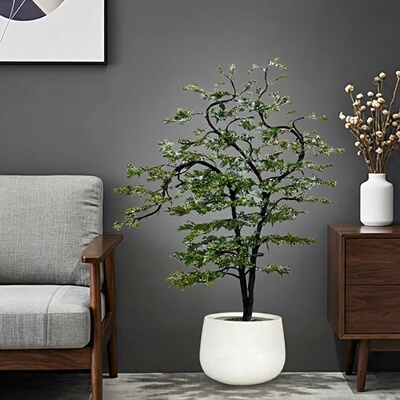 小叶紫檀盆景造型老桩黑骨茶盆栽客厅办公室绿植室内外好养植物