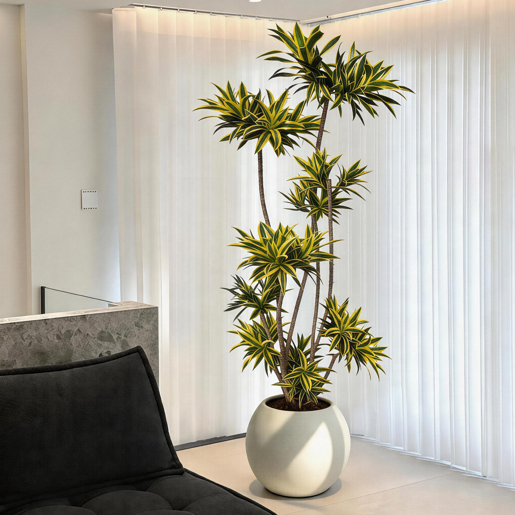 梦幻百合竹大盆栽老桩造型客厅绿植落地轻奢好养真花室内大型植物