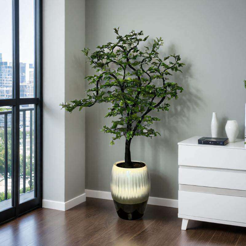 小叶紫檀盆景老桩室内客厅名贵植物办公室禅意绿植黑骨茶高档盆栽