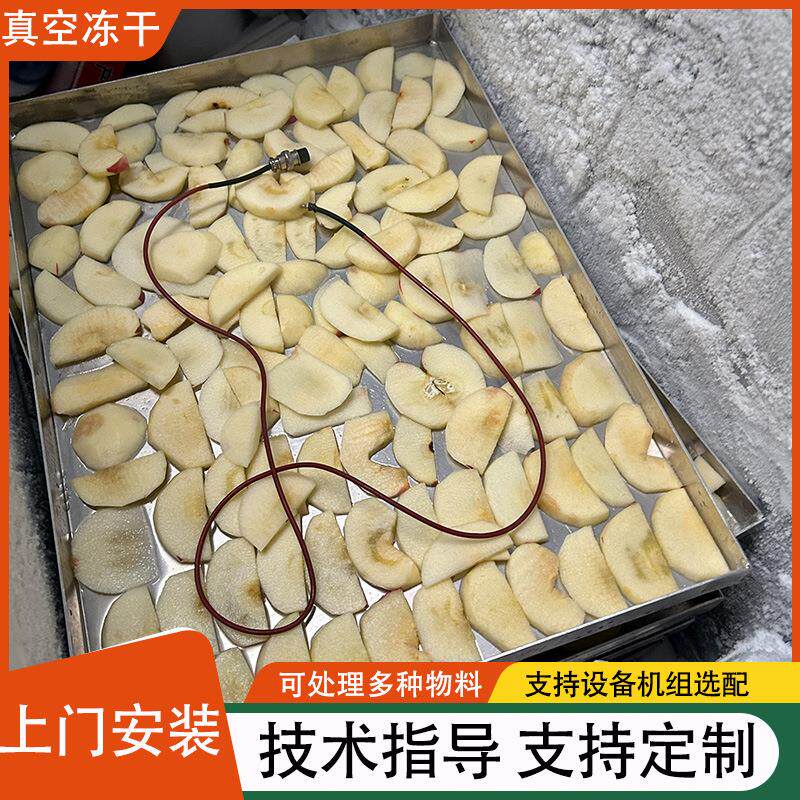 全自动果蔬冻干机 水果花茶真空冷冻干燥机 小型食品冻干设备现货