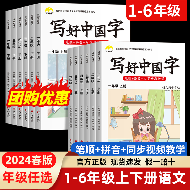 2024新版写好中国字字帖一二三四五六年级下册小学生语文同步字帖 书籍/杂志/报纸 小学教辅 原图主图