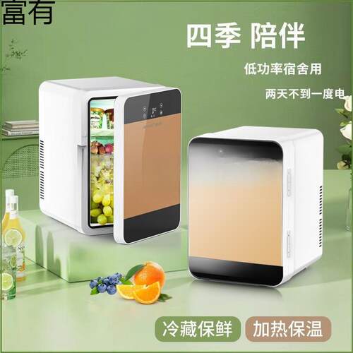迷你小冰箱载小型家用宿舍办公室学生母乳车家两用冷藏单人用冷冻