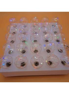 9-G40铜丝灯串110240V美欧规25灯灯串外贸电商爆款