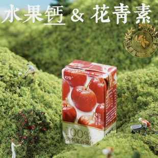100%欧李复合果汁NFC欧李钙果汁 爆款 售罄 箱 ·125mlx16盒