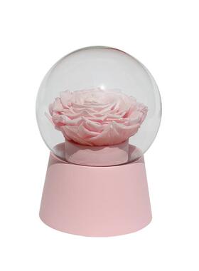 永生花保鲜花水球晶旋转音夕乐盒送5712男女朋友闺蜜520七礼情人