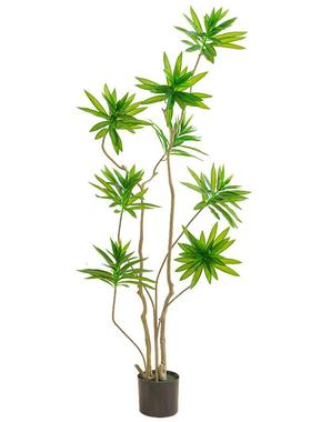 北YJ-0066欧ins风盆仿合真绿植百竹落地植物假盆栽室内客厅装饰摆