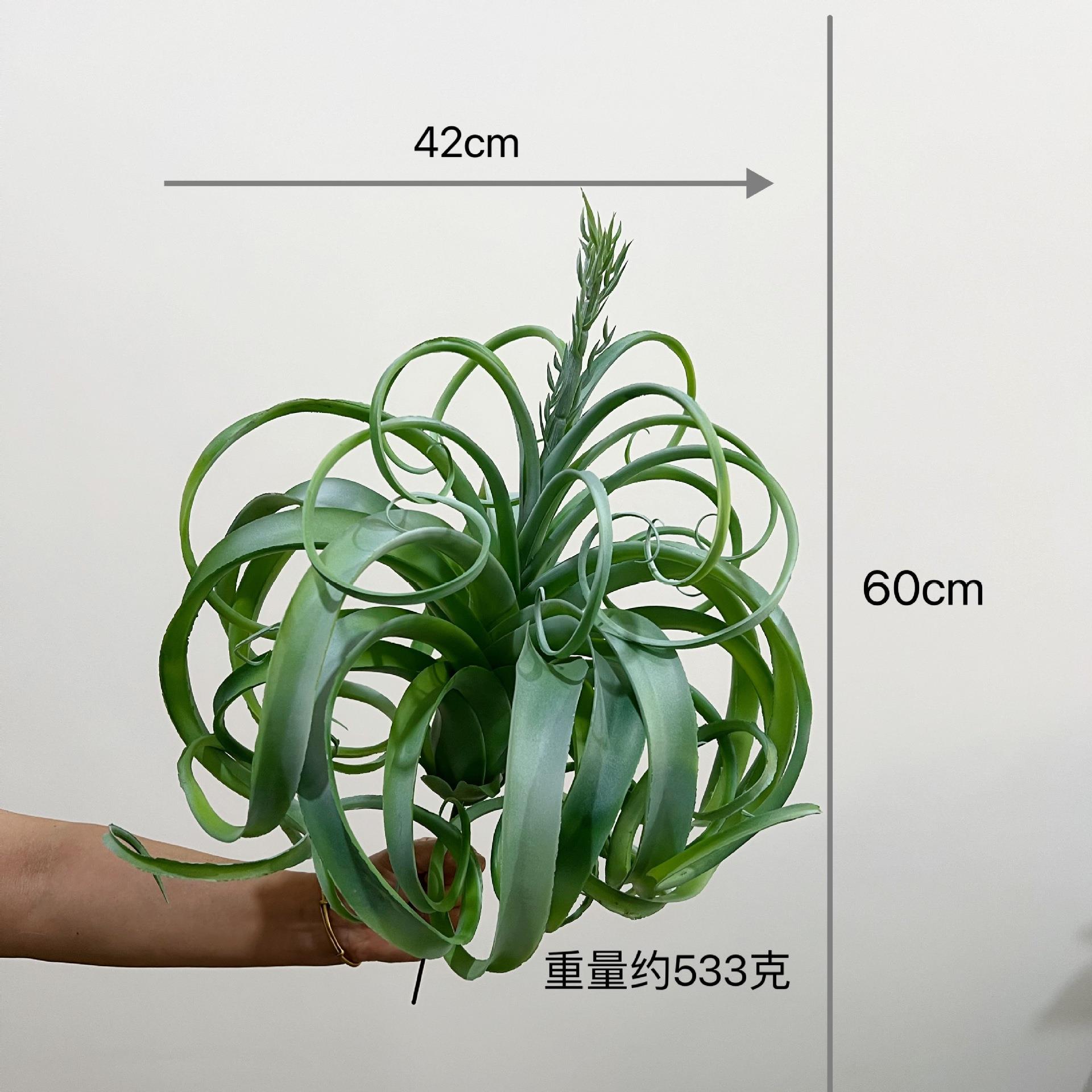 含阳气仿真假沙漠王多肉植物QF405特大霸空草凤梨仿真植物装饰