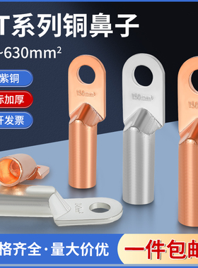 DT铜鼻子国标紫铜堵油鼻10 16 25 35 50平方铜线耳接线端子冷压鼻