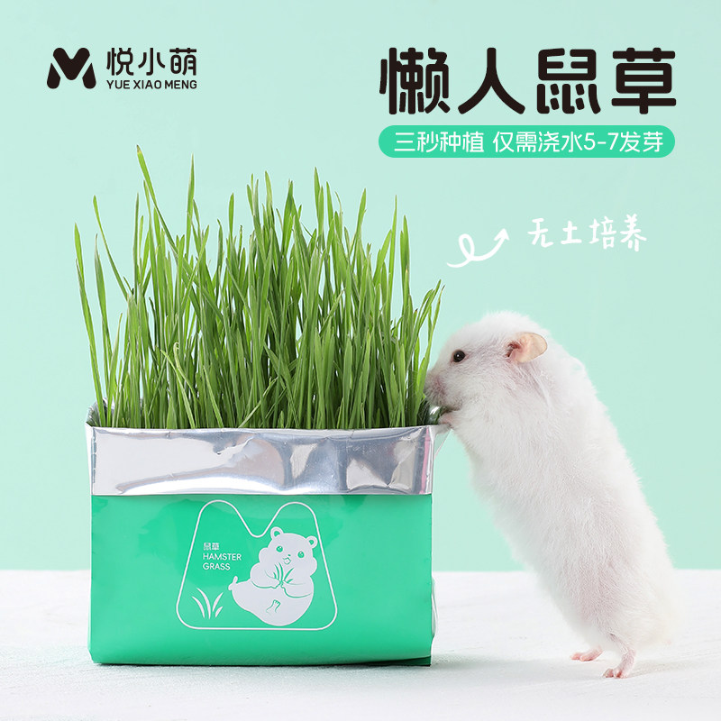 悦小萌仓鼠粮食营养辅助饲料懒人鼠草无土水培金丝熊助消化小零食