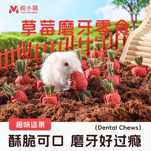 悦小萌仓鼠草莓零食大礼包金丝熊花枝鼠龙猫专用营养磨牙棒可食用