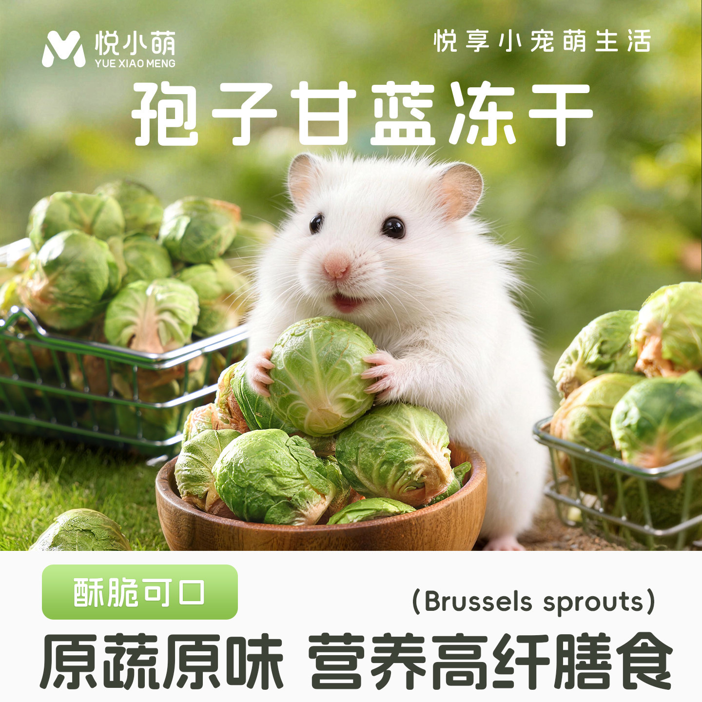 悦小萌仓鼠孢子甘蓝零食大礼包金丝熊花枝鼠营养粮食冻干包菜球菜图片
