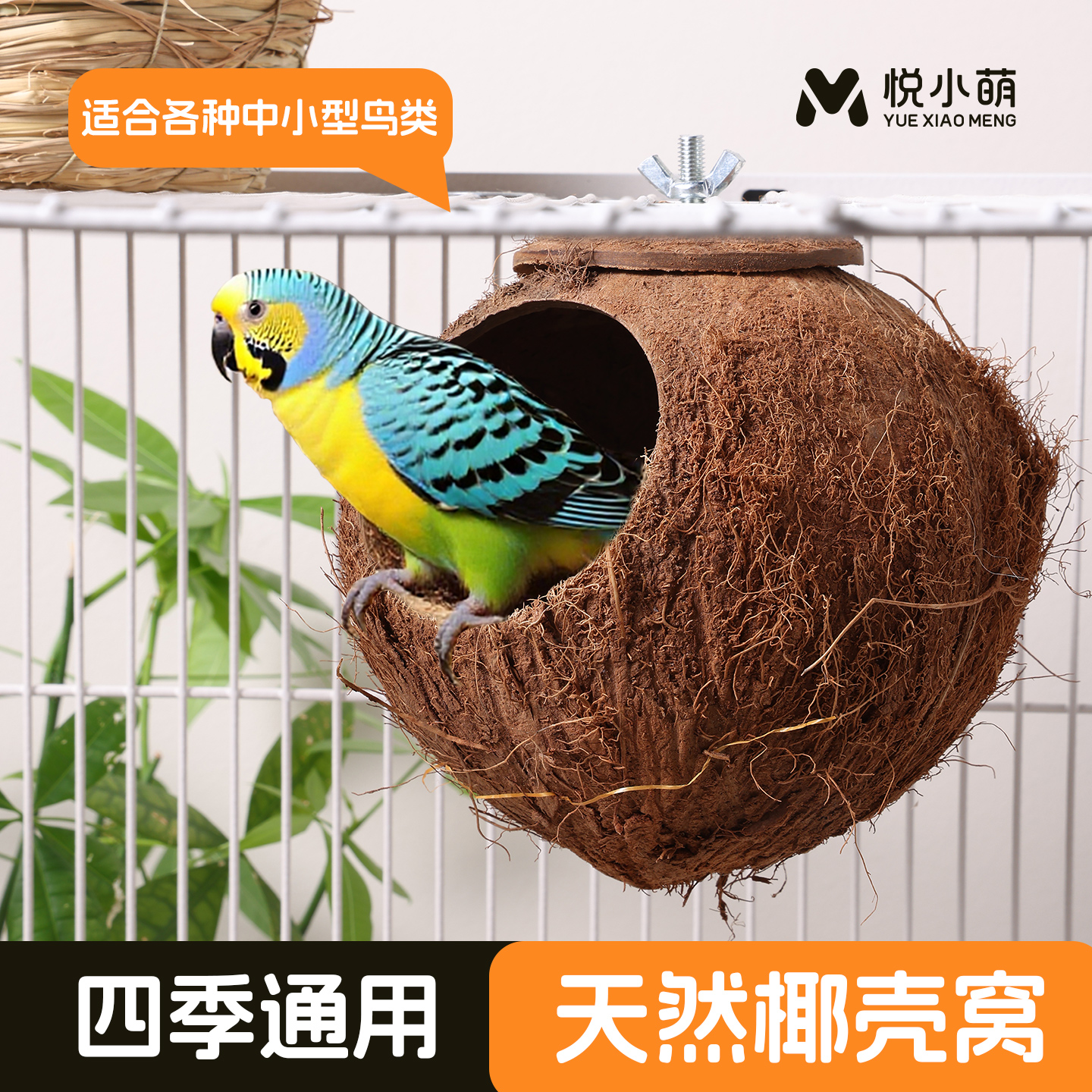 椰子壳鸟窝鹦鹉睡觉四季通用鸟巢