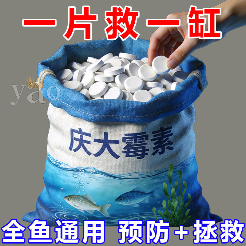 庆大霉素鱼病专用药烂身烂尾白点白毛掉磷蒙眼杀菌消炎康复消毒药