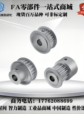 替代米si米同步轮 C-HTPA22S3M100-A-P5-P6-P6.35-P8