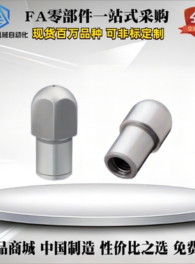 定位销FPQTA6-P8-L10-B5/FPQTD8T-P10.00-L12-B5替代米si米