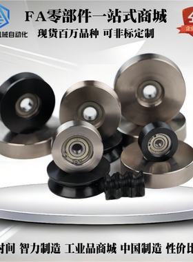 爱安特 导向轮WBS WBSB WBSN-D50 D60 D100-Z5 Z6-d10 d12