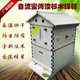 自动取蜜蜂巢脾塑料蜂巢蜂具巢框巢础 UV烤漆 自流蜜蜂箱