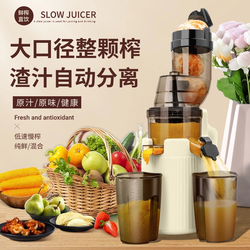 德国家用榨汁机汁渣分离打扎压水